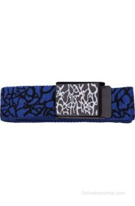 Stylehoops Boys, Men, Girls, Women Casual Blue Artificial Leather Belt(Blue)